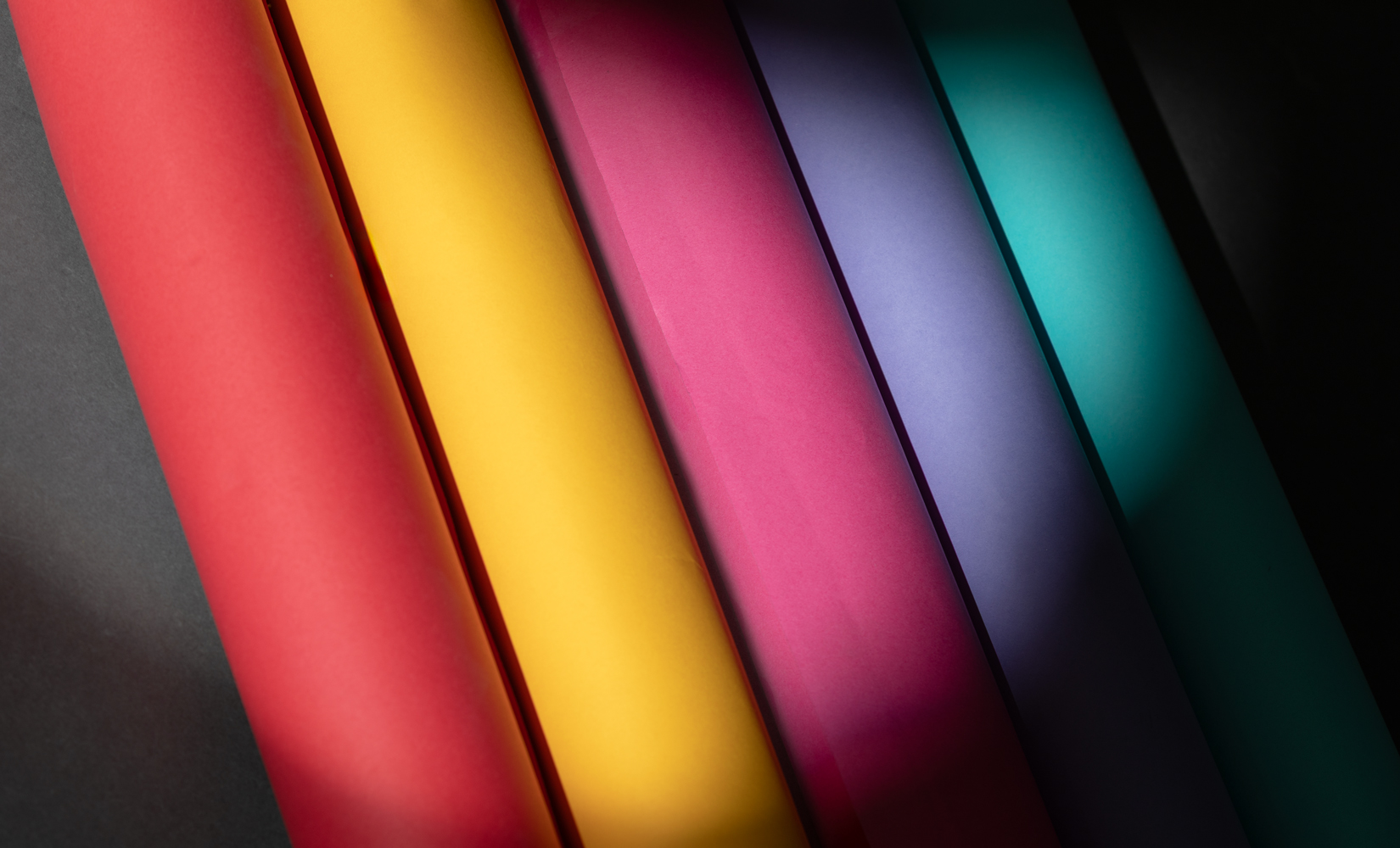 Professional photography backdrops and lighting setup Hull